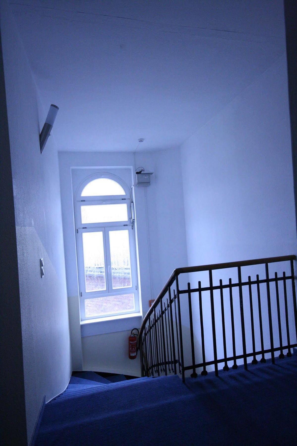 היידלברג Altstadt Hotel מראה חיצוני תמונה